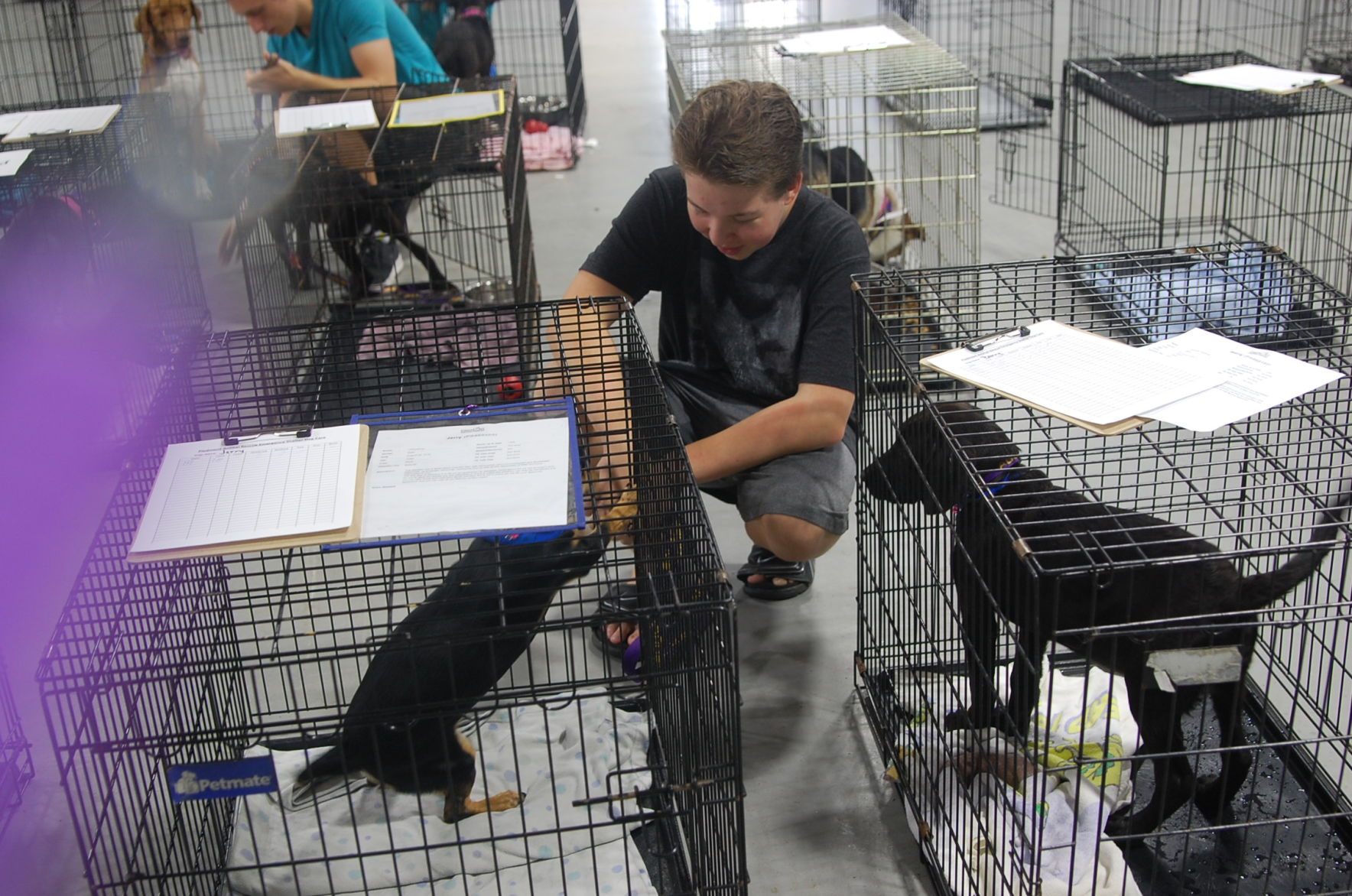 Piedmont animal rescue (24).JPG